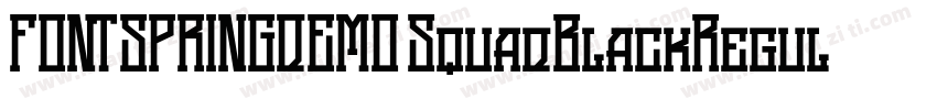 FONTSPRINGDEMO SquadBlackRegular字体转换